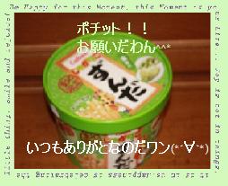 d−11.jpg