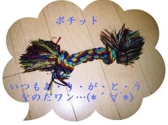 p−5.jpg