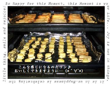 w−2.jpg