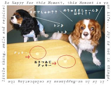 w−6.jpg