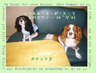 w−7.jpg