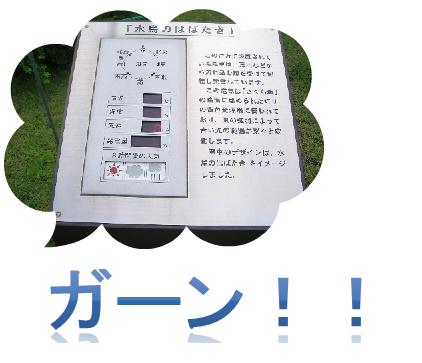 AIS-4.jpg