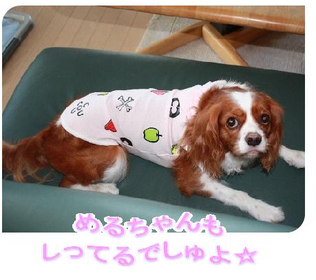 hanabi-2.jpg