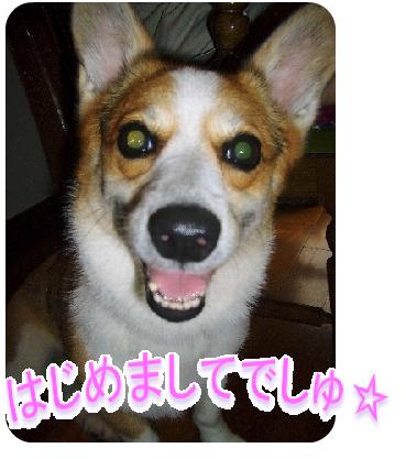 hina-1.jpg