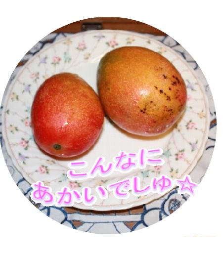 m2.jpg